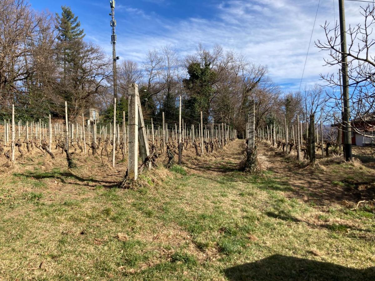 Appartamento Di Vacanza Tra I Vigneti Ponte Cremenaga Exterior foto