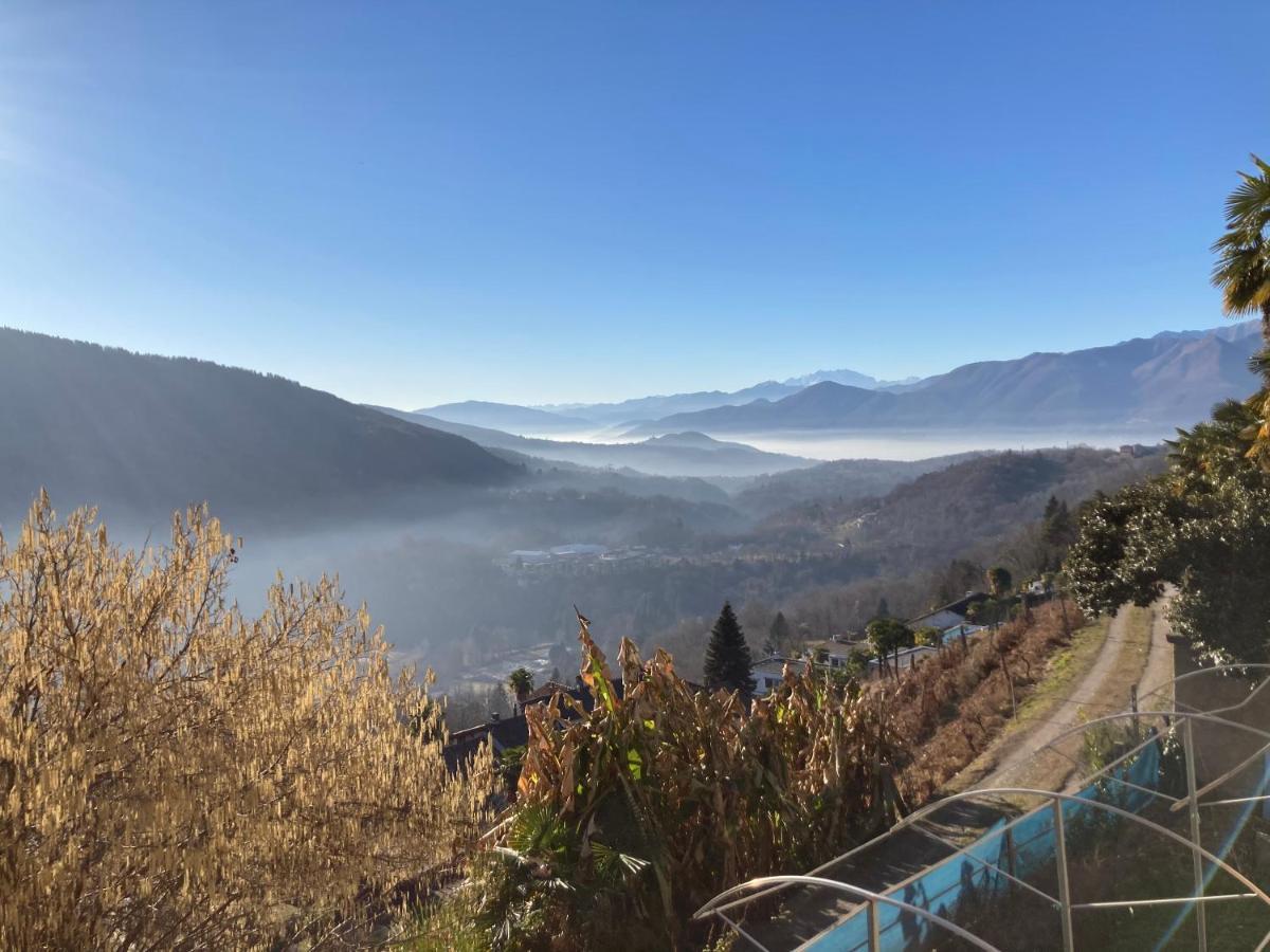 Appartamento Di Vacanza Tra I Vigneti Ponte Cremenaga Exterior foto