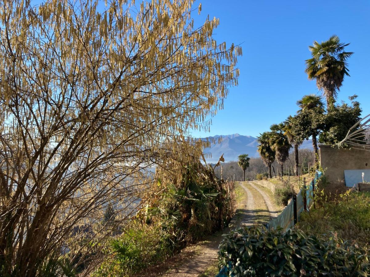 Appartamento Di Vacanza Tra I Vigneti Ponte Cremenaga Exterior foto