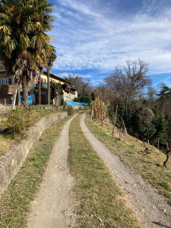 Appartamento Di Vacanza Tra I Vigneti Ponte Cremenaga Exterior foto