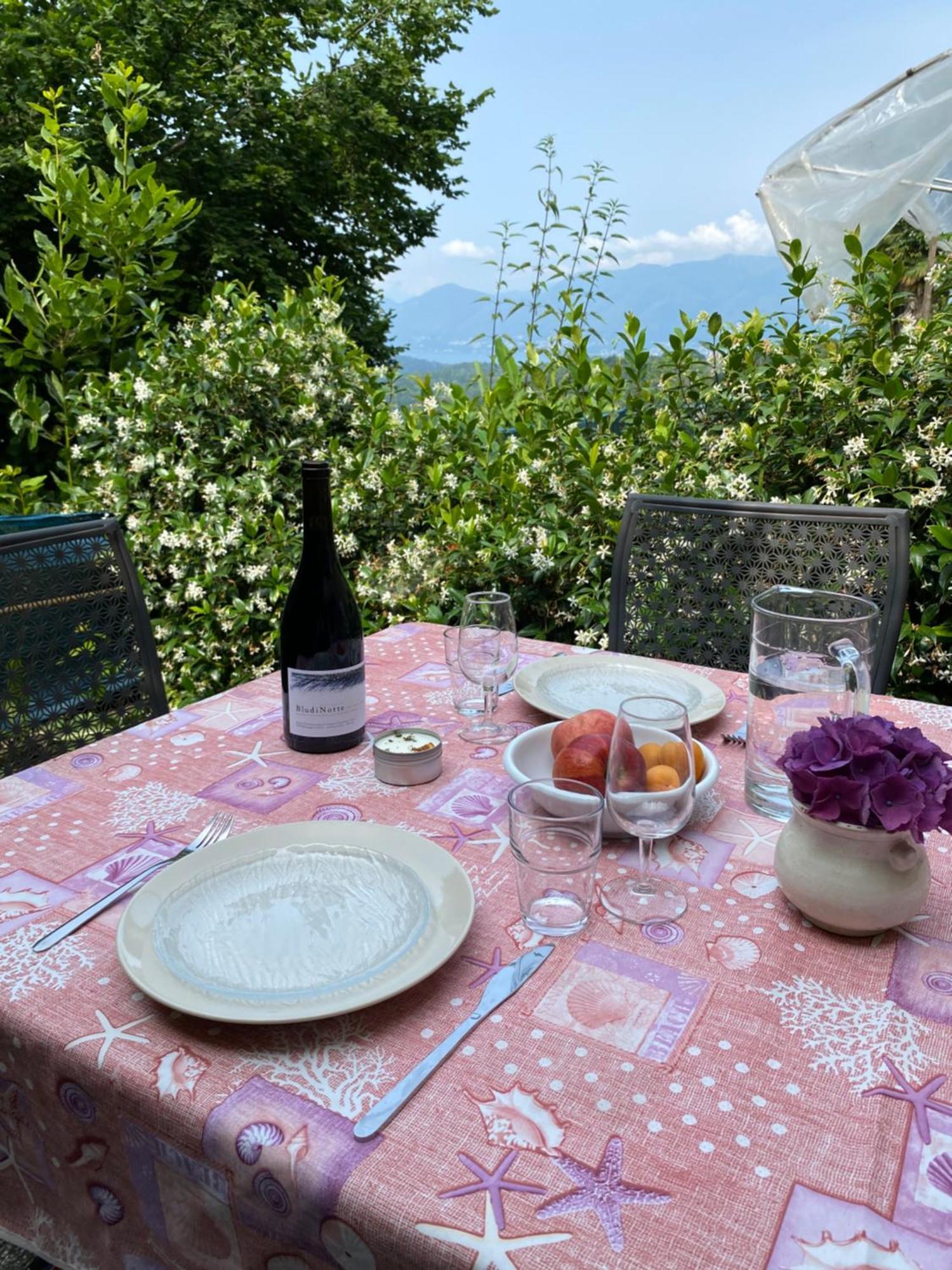 Appartamento Di Vacanza Tra I Vigneti Ponte Cremenaga Exterior foto